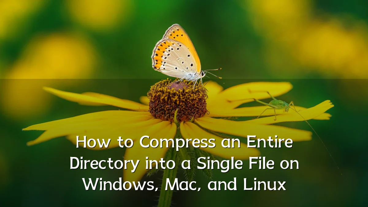 How to Compress an Entire Directory into a Single File on Windows, Mac, and Linux