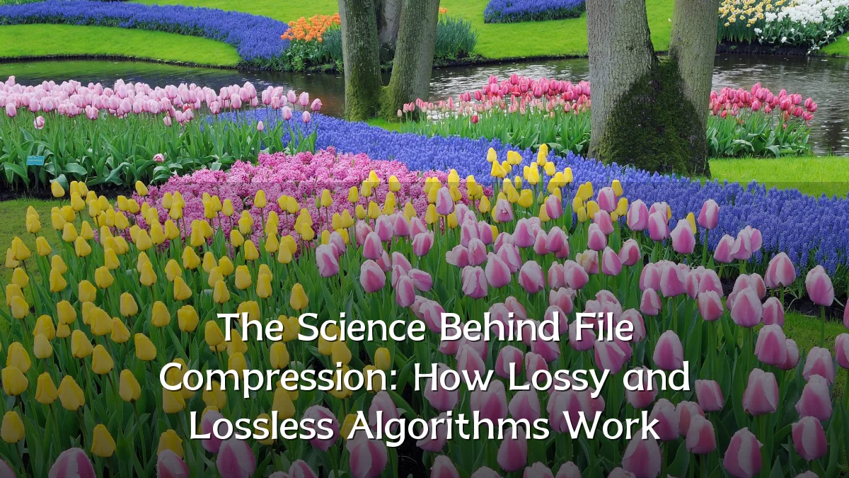 The Science Behind File Compression: How Lossy and Lossless Algorithms Work