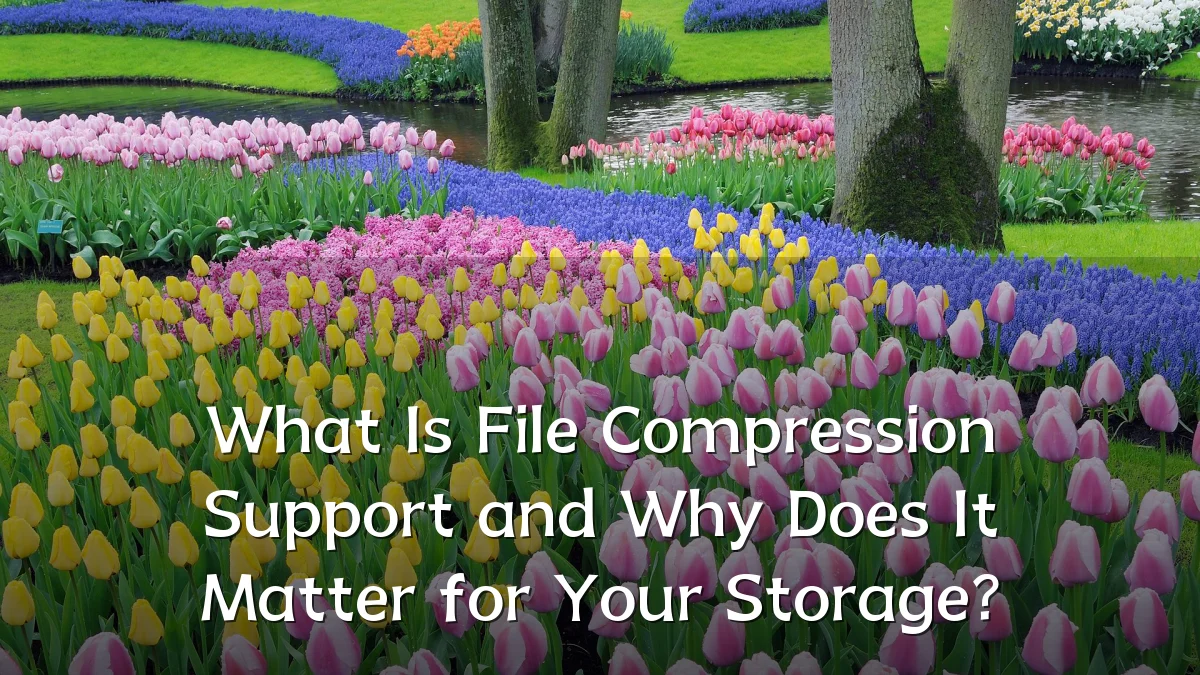 What Is File Compression Support and Why Does It Matter for Your Storage?